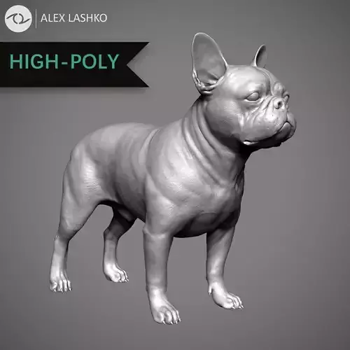 French Bulldog High-Poly 3D print model