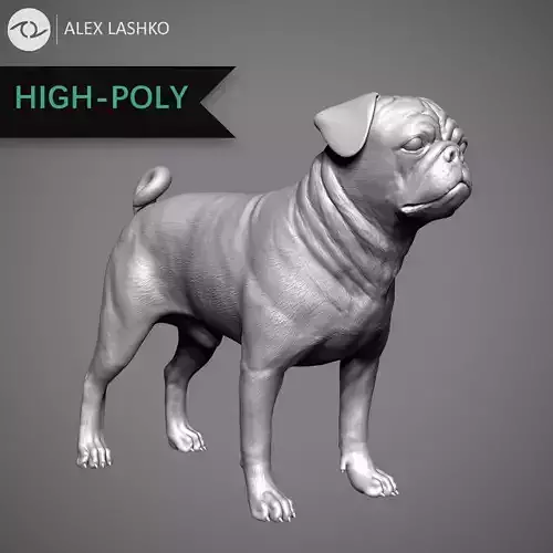 Pug High-Poly 3D print model