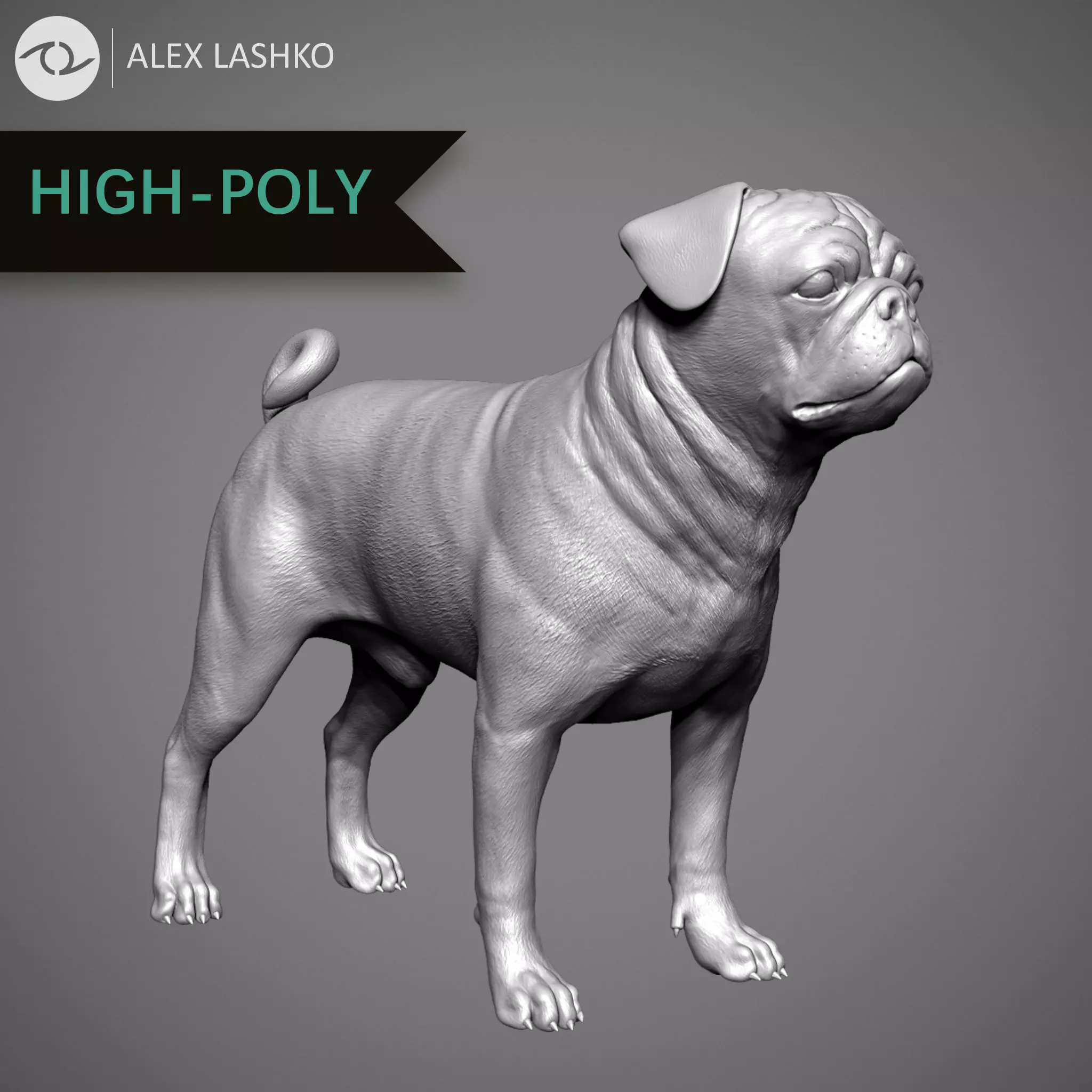 Pug High-Poly 3D print model_0