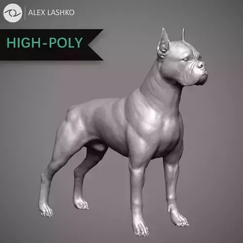 Boxer High-Poly dog 3D print model