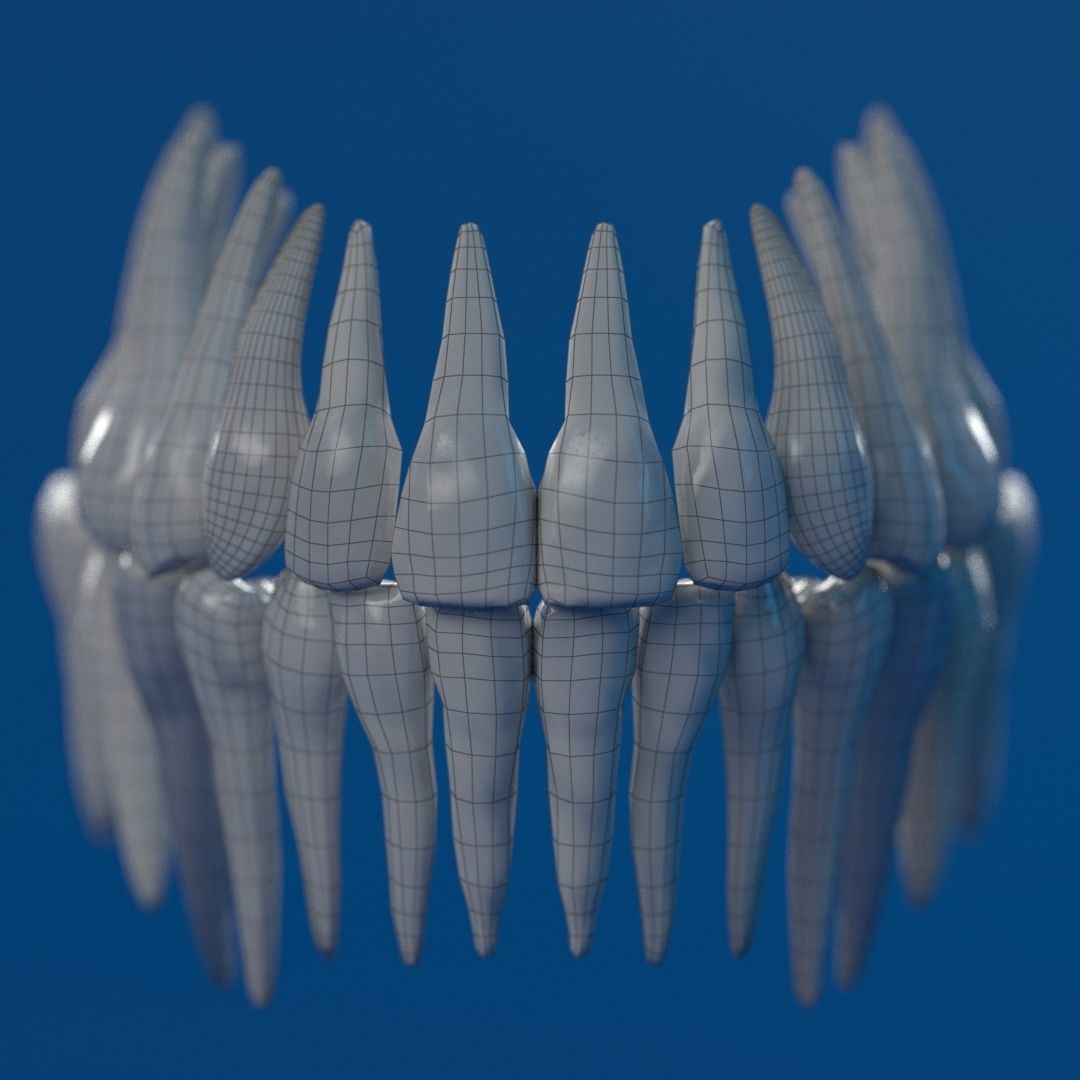 Human Female Skull 3D model_25