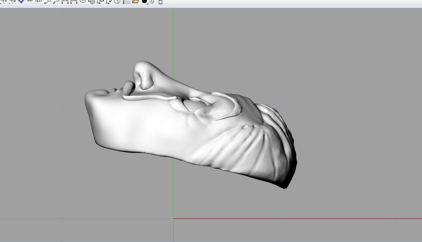 Dali mask  3D model_1