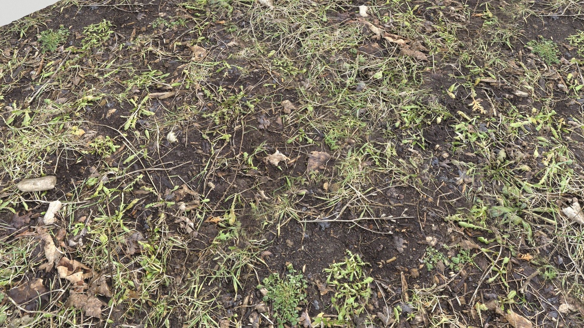 Forest Terrain PBR Pack 1 Texture_16