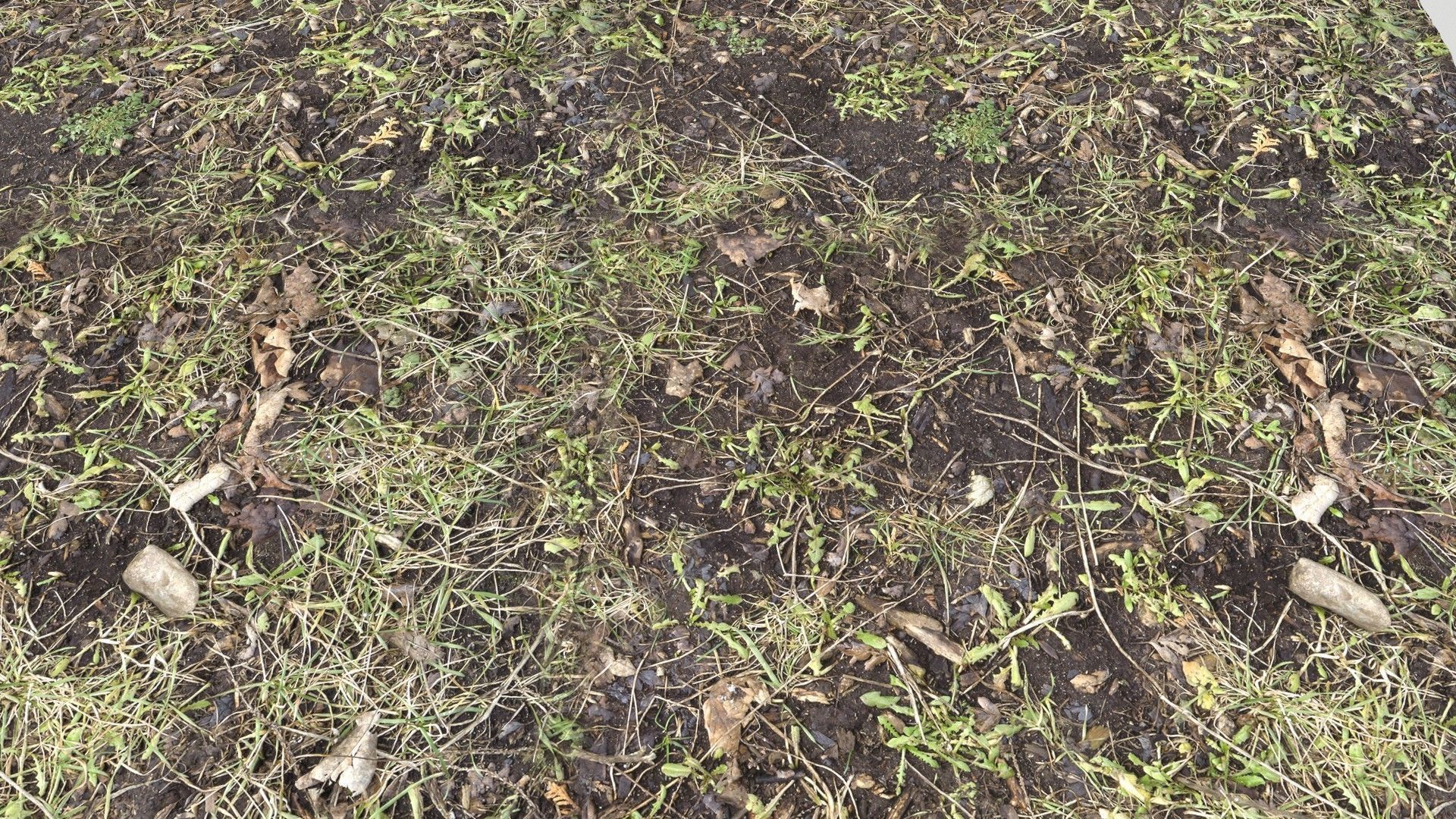 Forest Terrain PBR Pack 1 Texture_17