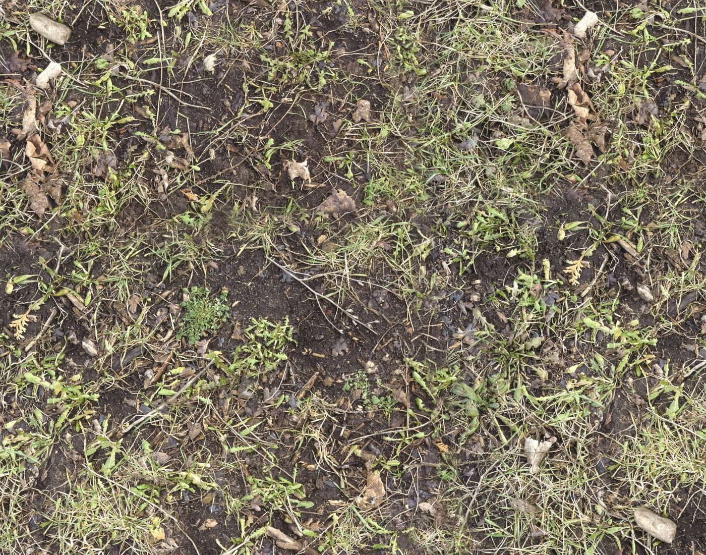 Forest Terrain PBR Pack 1 Texture_9