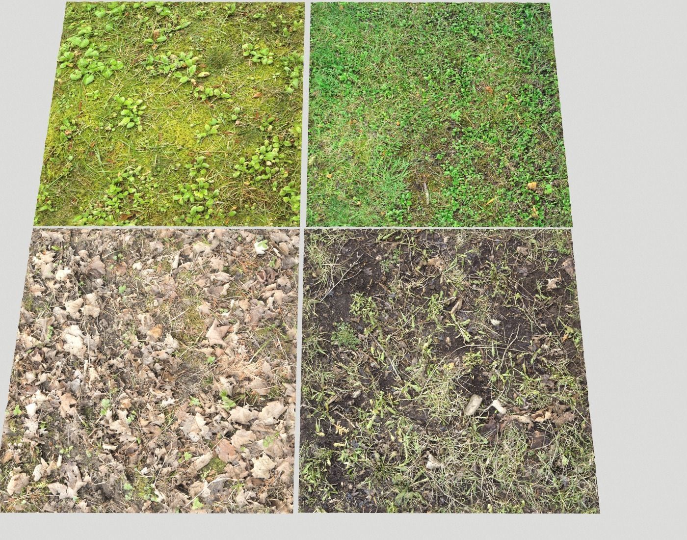 Forest Terrain PBR Pack 1 Texture_18