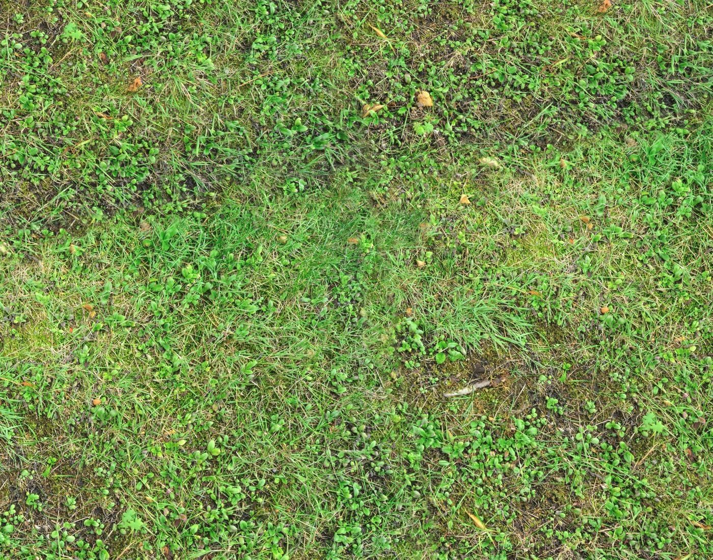 Forest Terrain PBR Pack 1 Texture_6