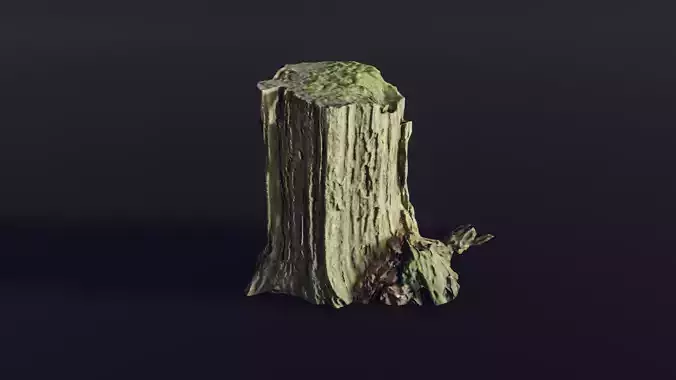 tree stump big old mossy 1 - Photoscanned