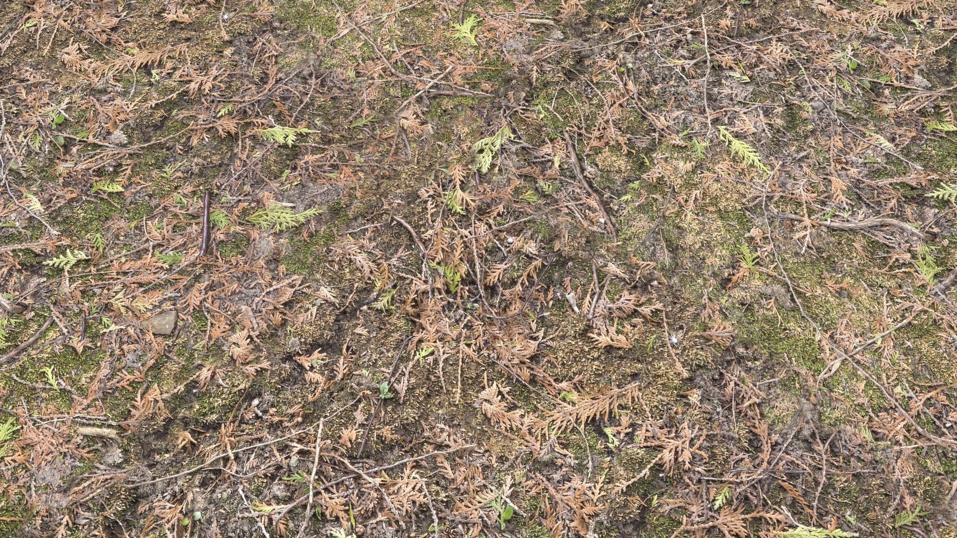 Forest Terrain Pack PBR 2 Texture_15