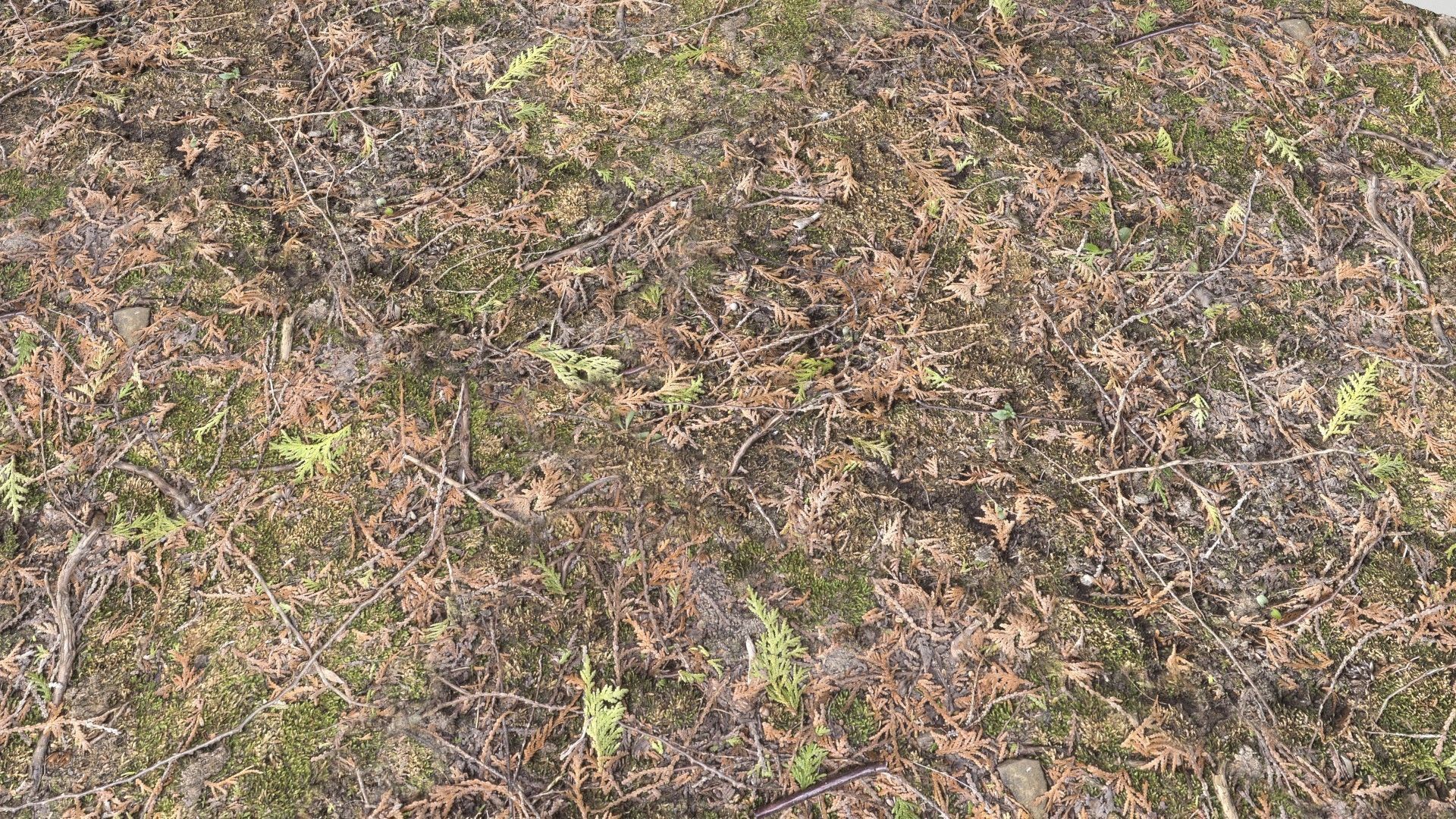 Forest Terrain Pack PBR 2 Texture_16