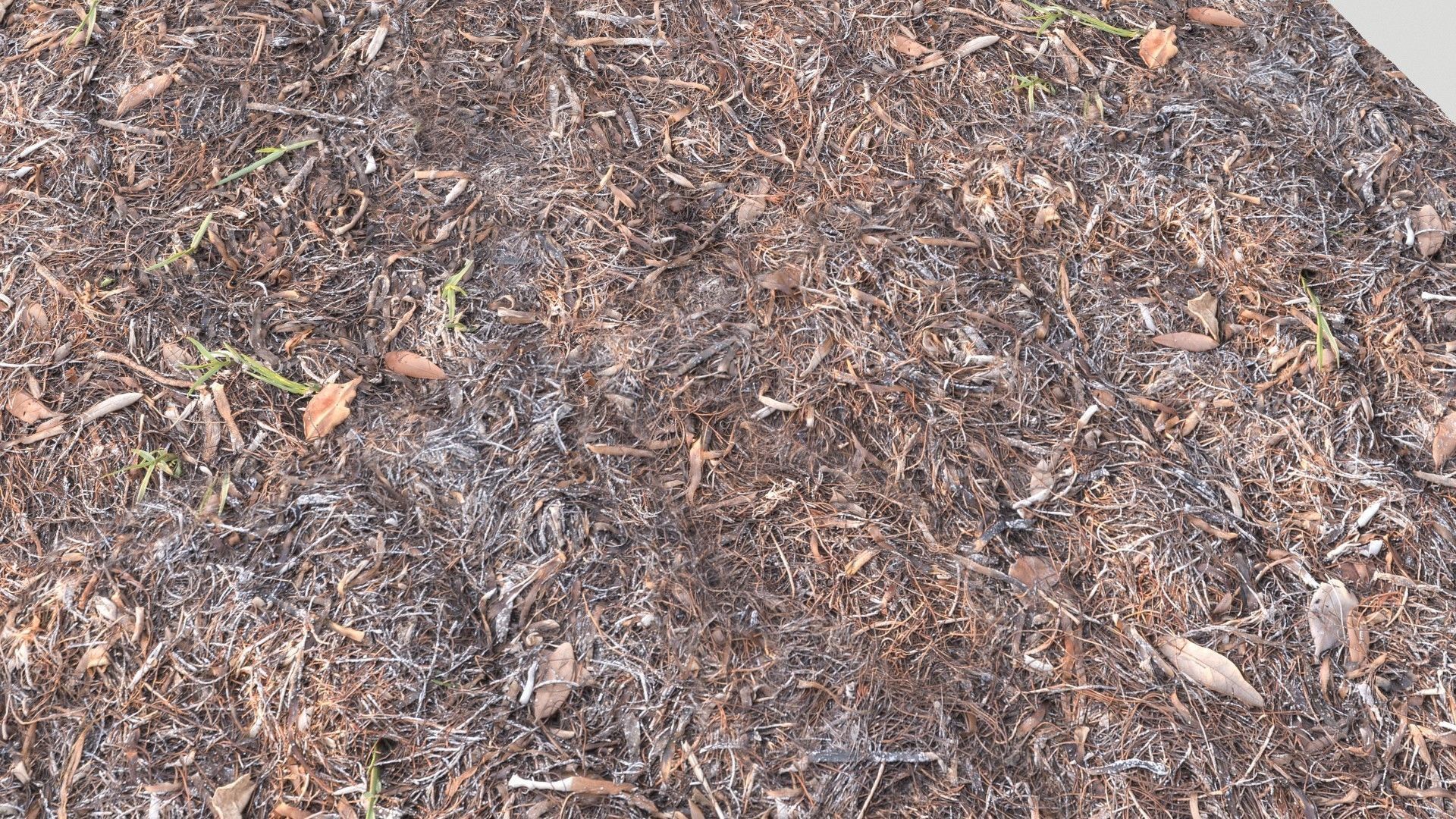 Forest Terrain Pack PBR 2 Texture_13