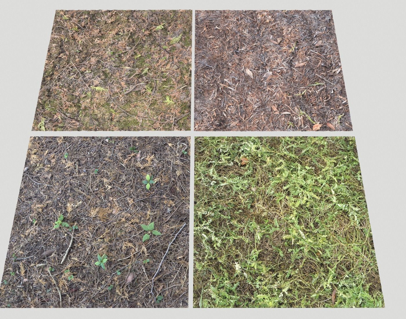 Forest Terrain Pack PBR 2 Texture_17