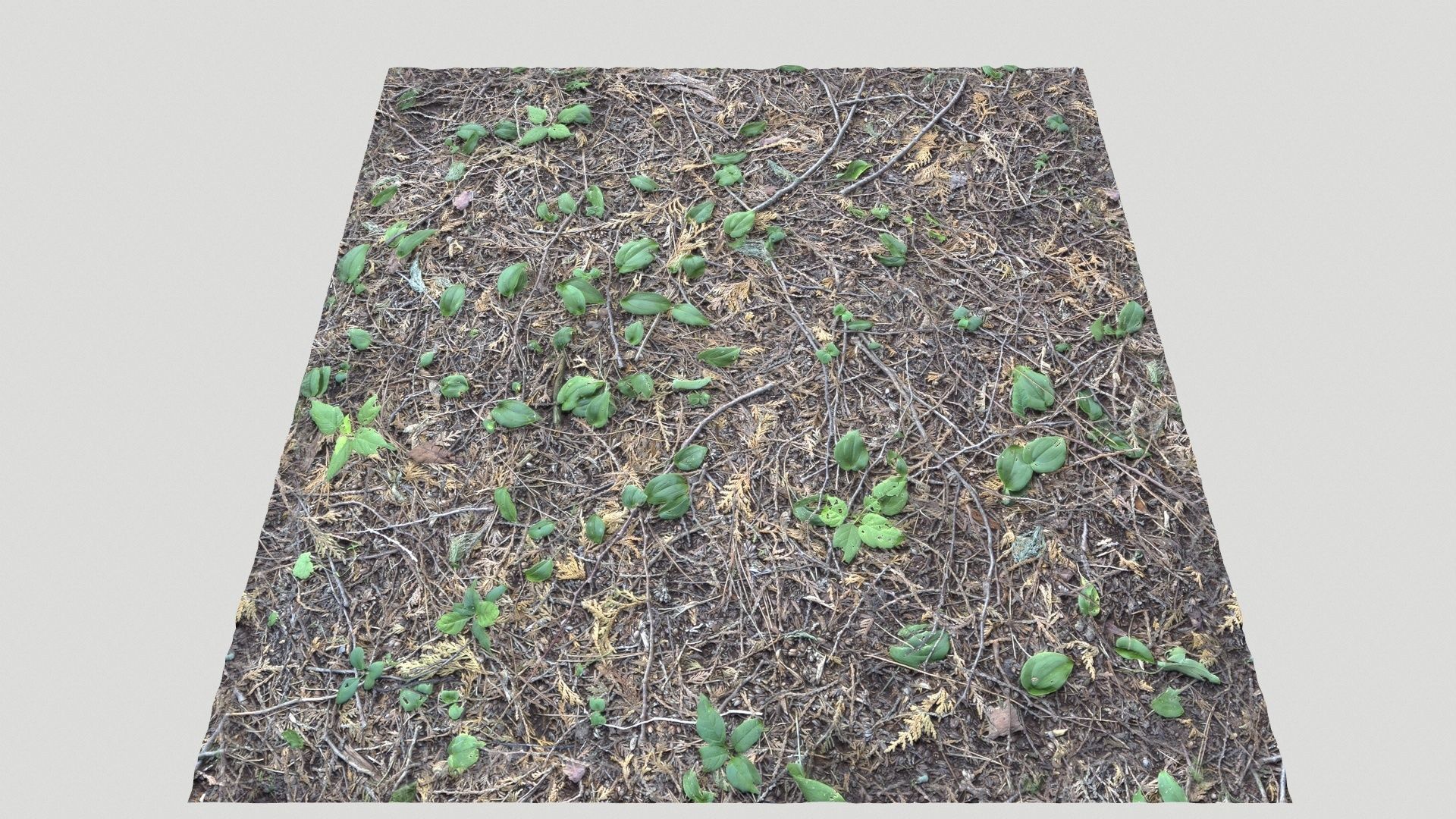 Forest Terrain Pack PBR 3 Texture_22