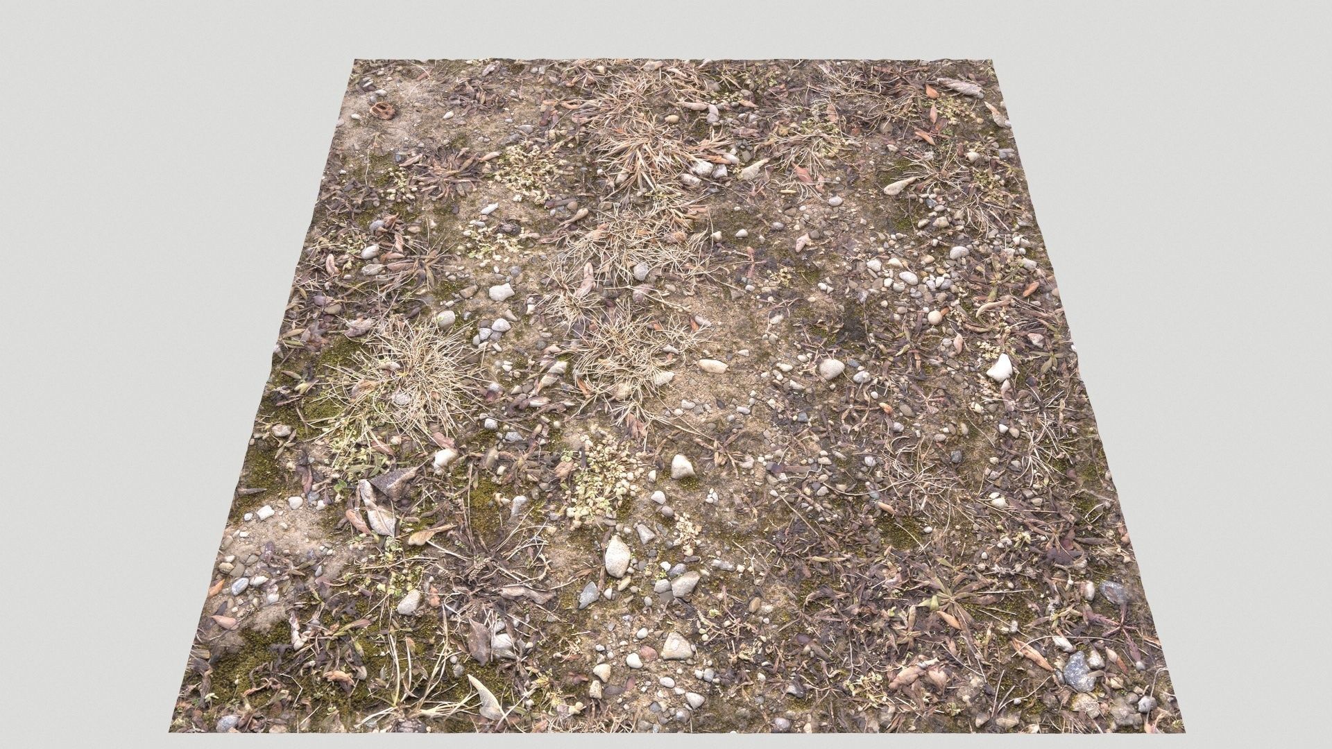 Forest Terrain Pack PBR 3 Texture_24