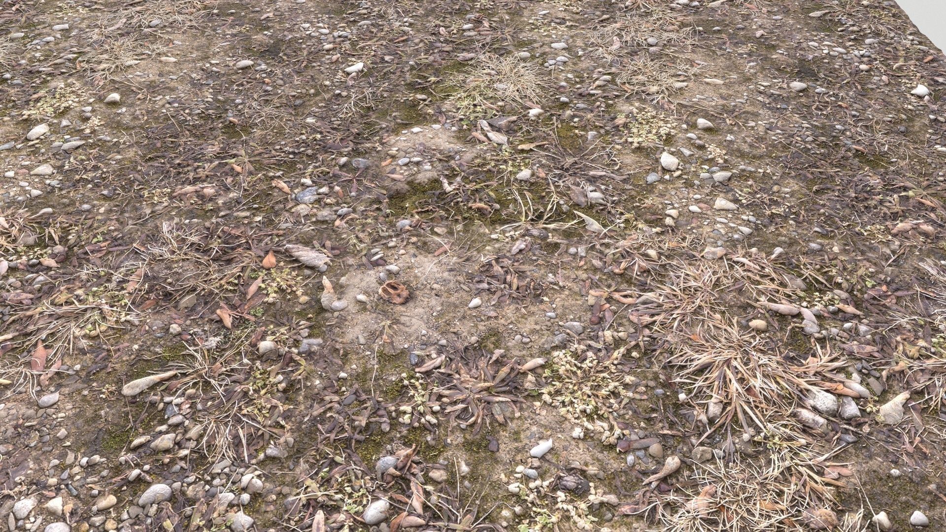 Forest Terrain Pack PBR 3 Texture_19