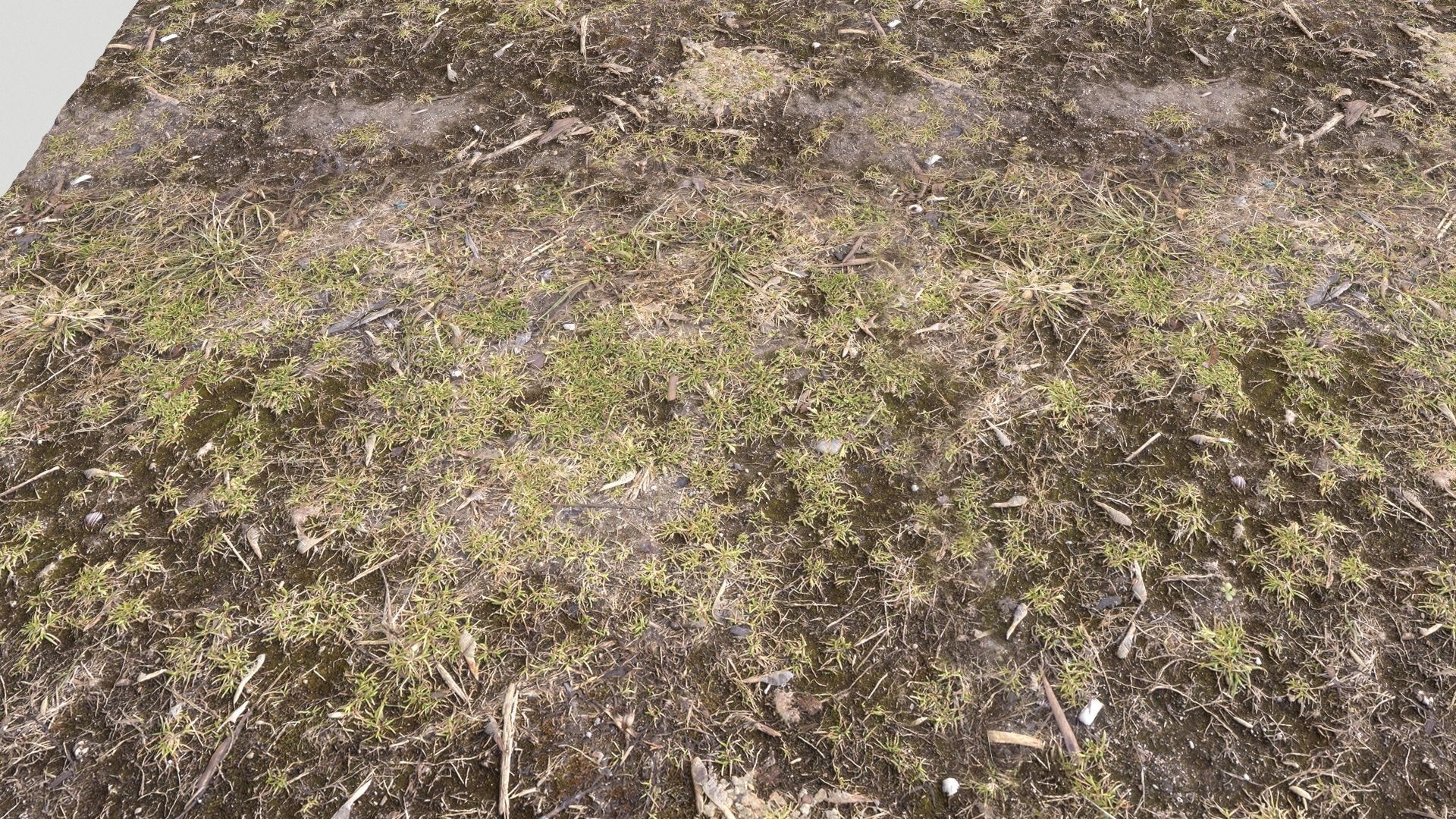 Forest Terrain Pack PBR 3 Texture_6