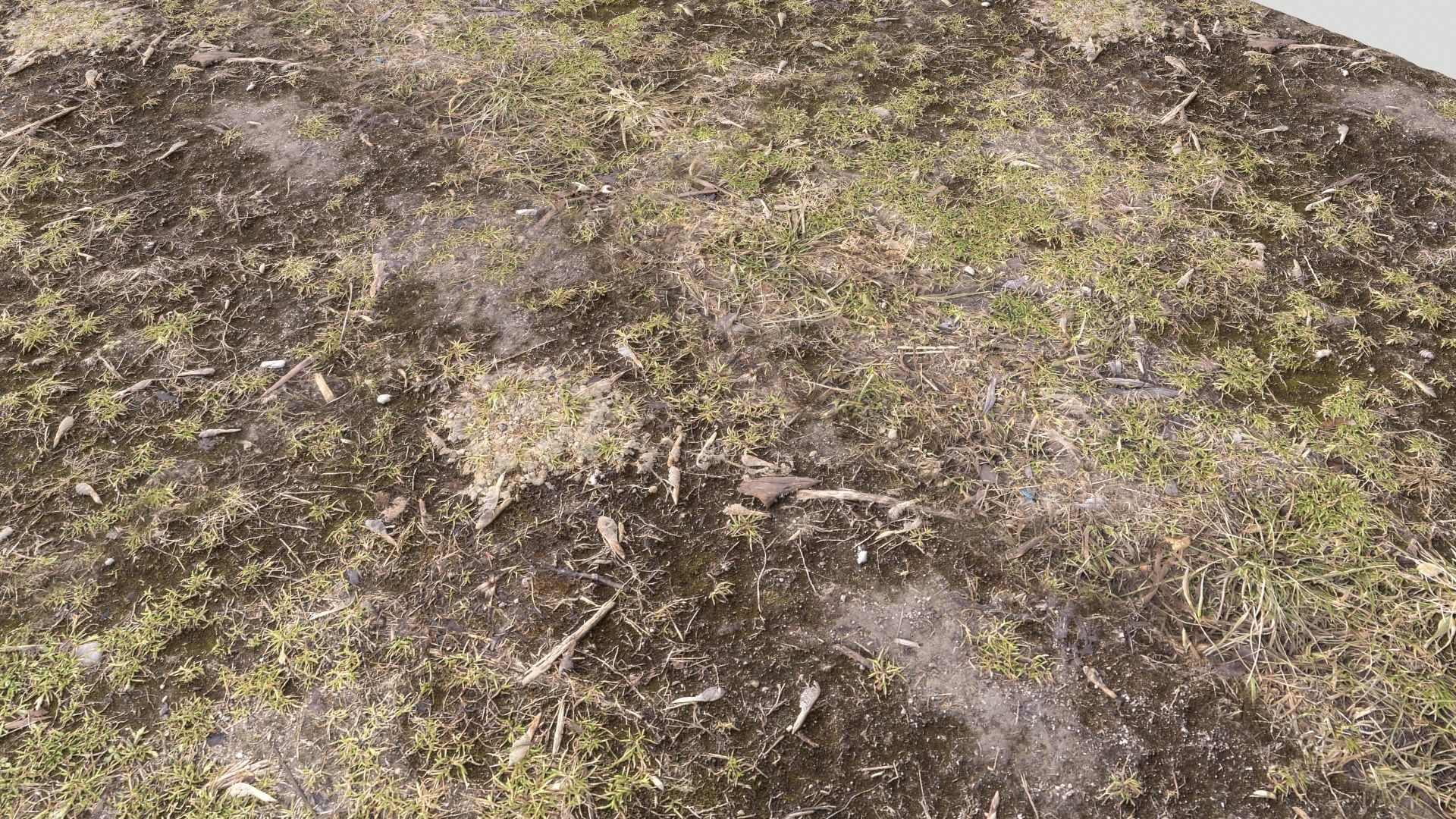 Forest Terrain Pack PBR 3 Texture_8