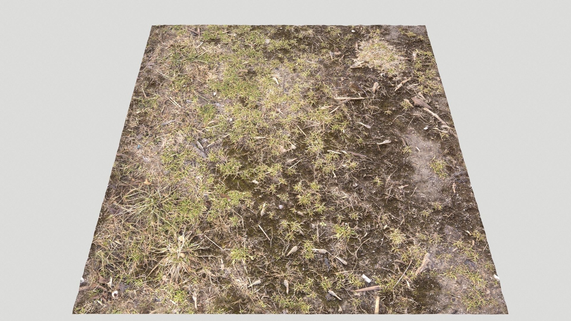 Forest Terrain Pack PBR 3 Texture_21