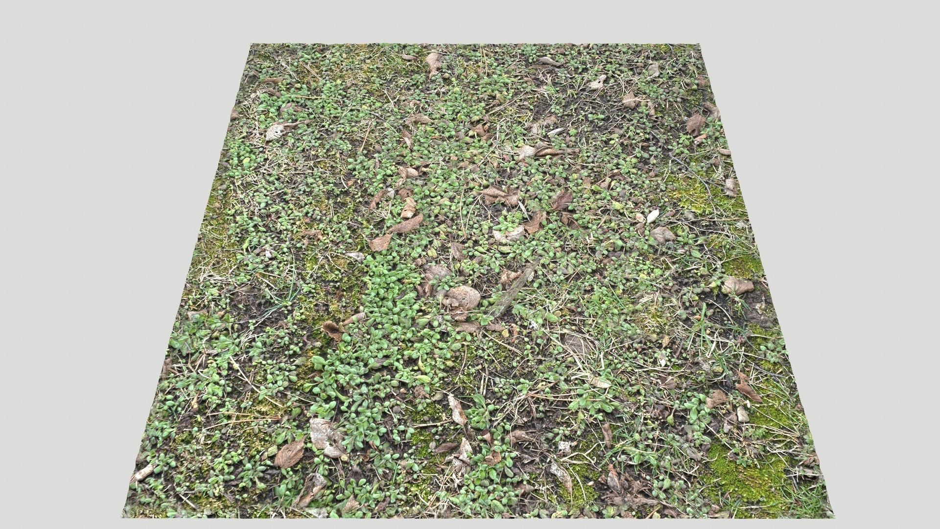Forest Terrain Pack PBR 3 Texture_23