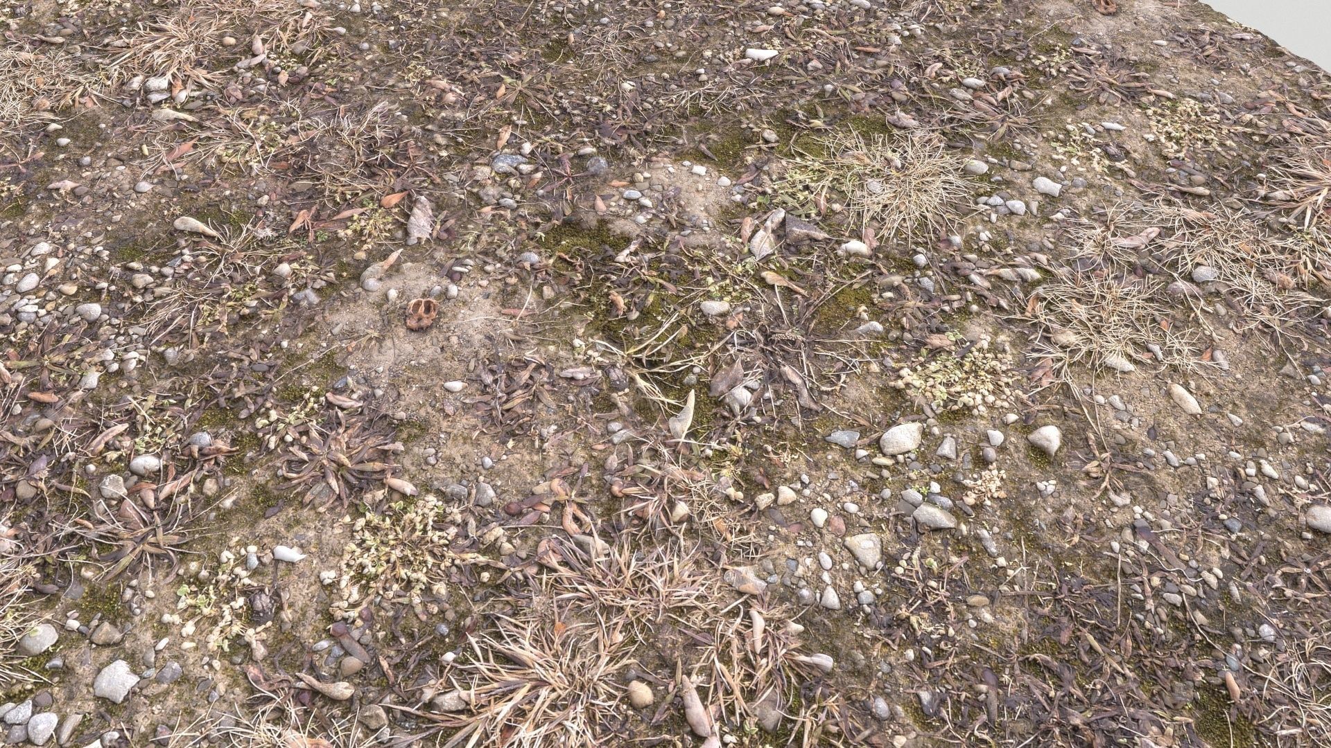 Forest Terrain Pack PBR 3 Texture_17