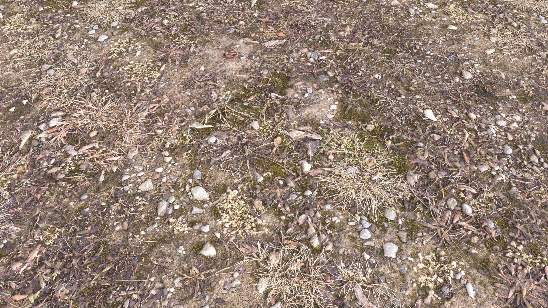 Forest Terrain Pack PBR 3 Texture_18