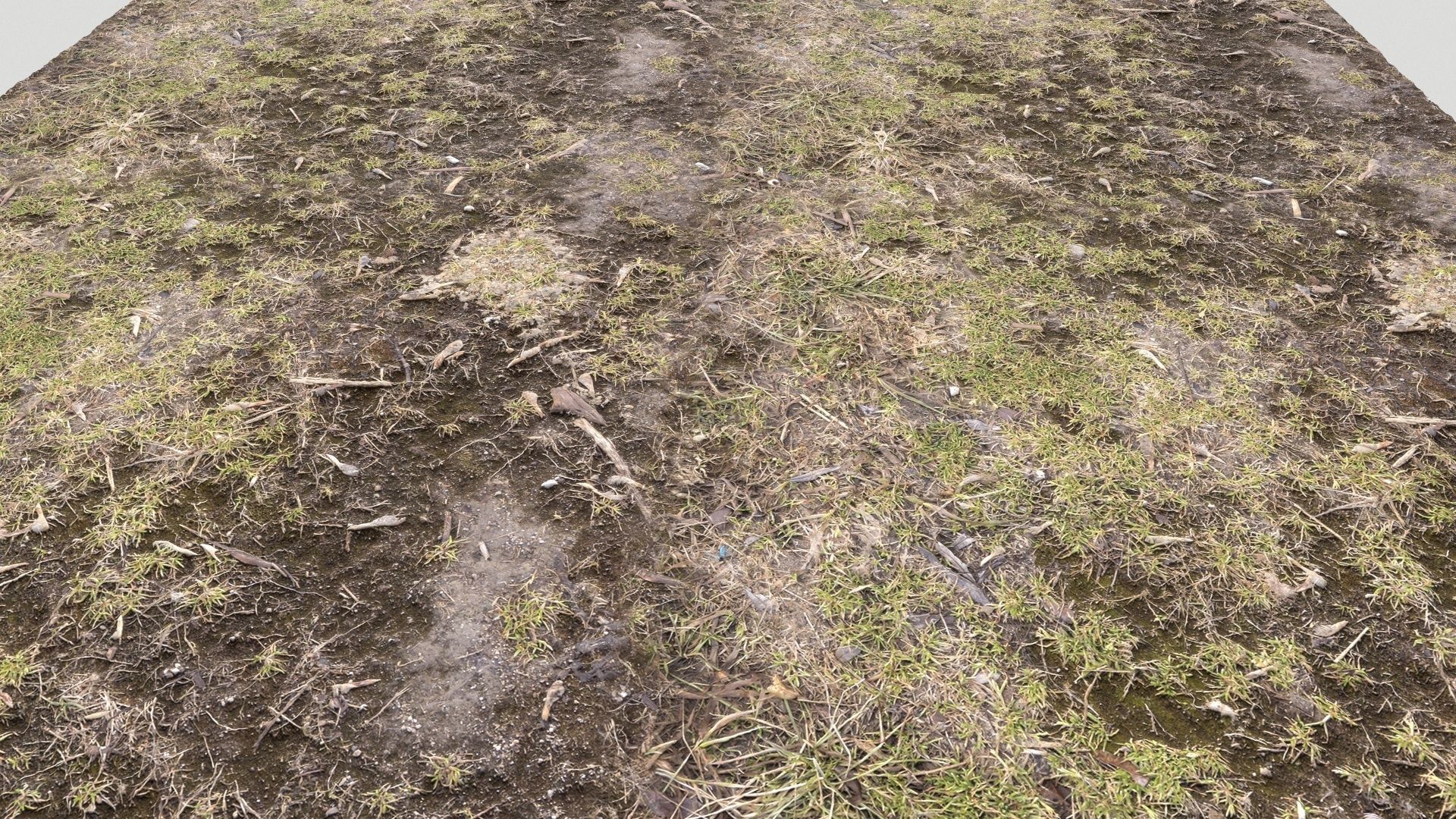Forest Terrain Pack PBR 3 Texture_7