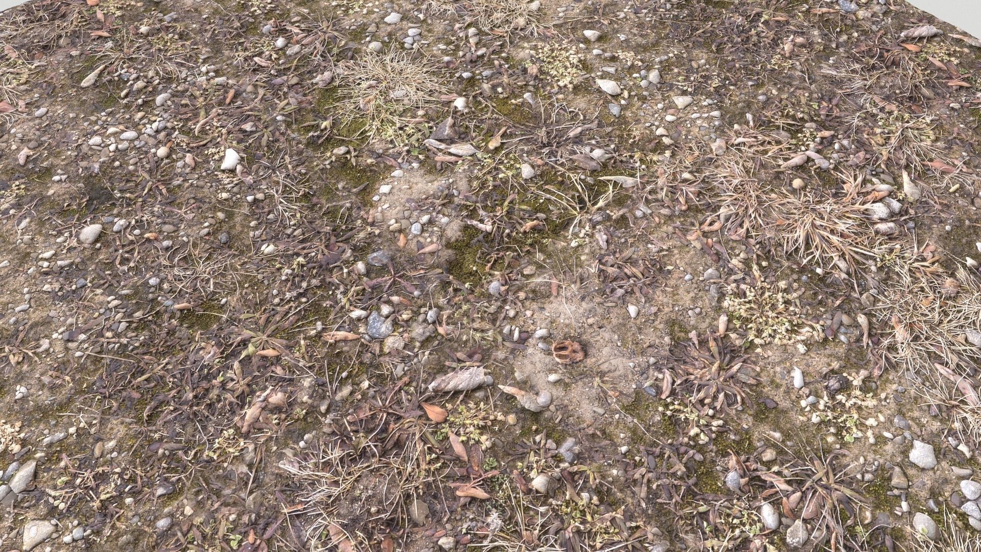 Forest Terrain Pack PBR 3 Texture_20