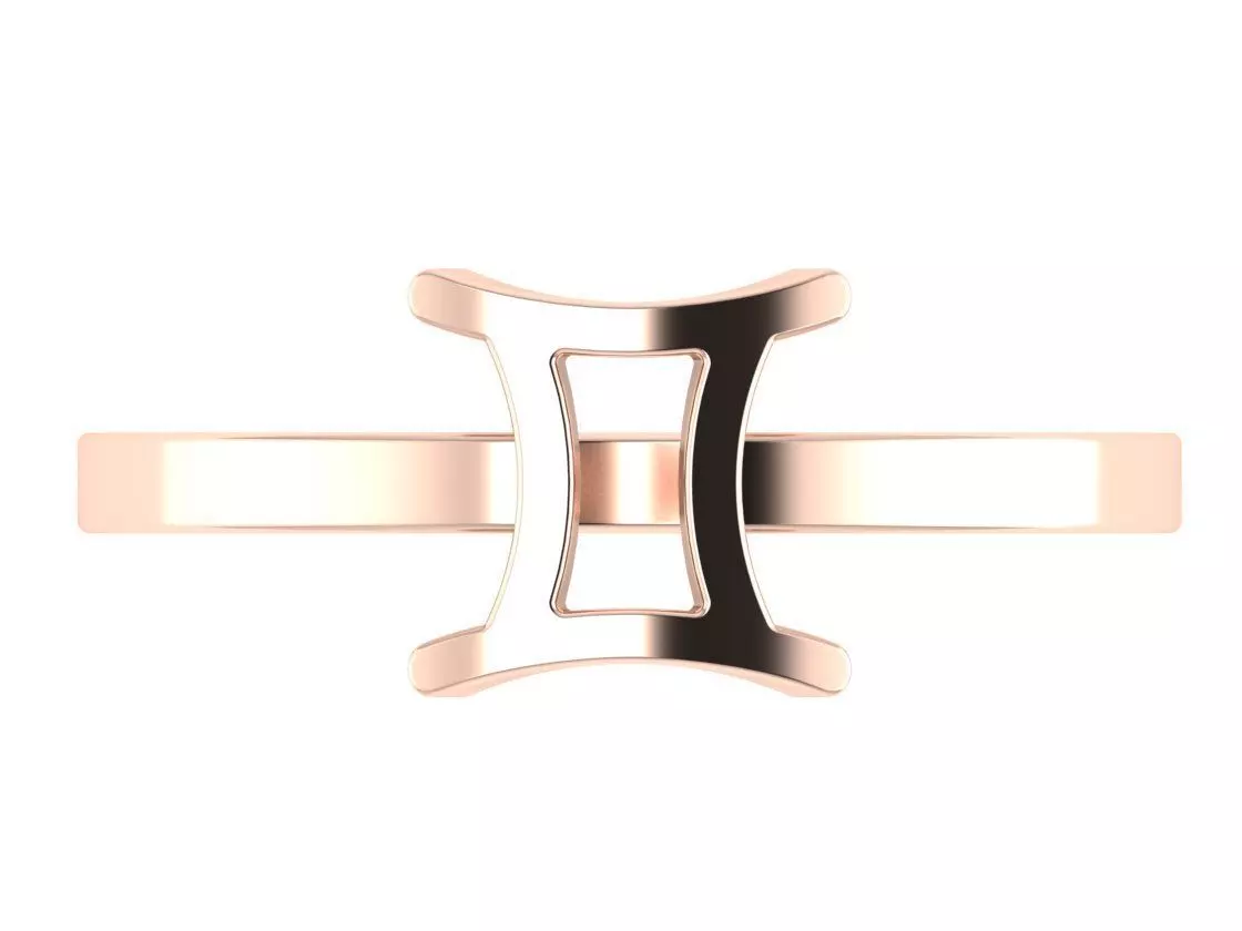 Twins ring zodiac 3D print model_0