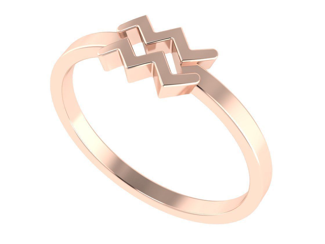 Aquarius ring zodiac 3D print model_2