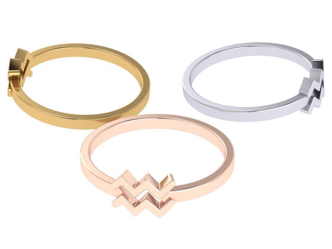 Aquarius ring zodiac 3D print model_13