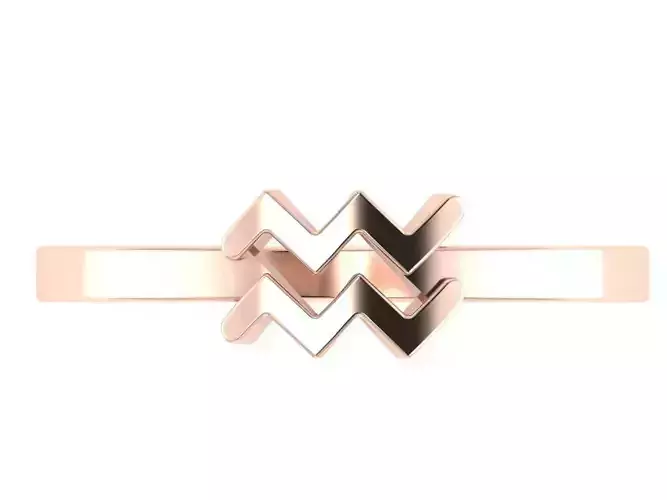 Aquarius ring zodiac 3D print model