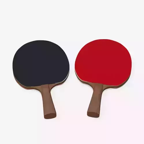 Ping Pong racket 3D model