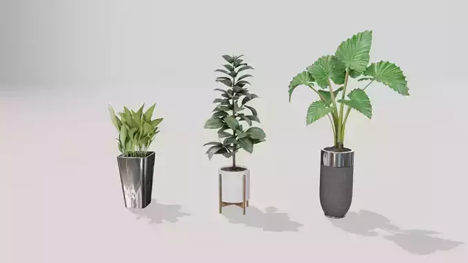 Plants Assests  3D model for blender and other format 