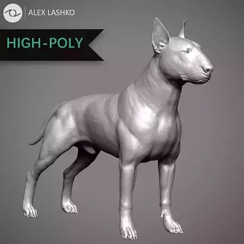 Bull Terrier High-Poly 3D print model