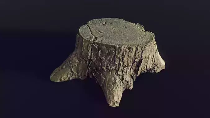 tree stump medium 1 - Photoscanned