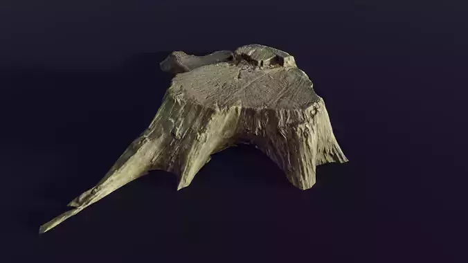 tree stump medium old 2 - Photoscanned