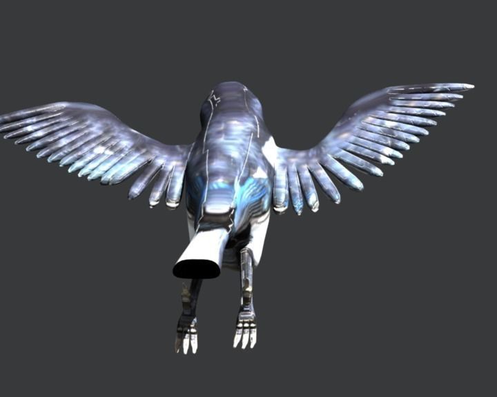 Eurasian Magpie 3D model_9