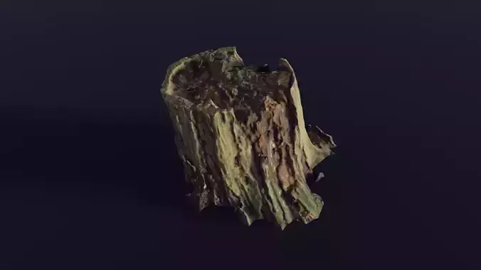 tree stump medium old mossy 1 - Photoscanned