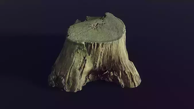 tree stump medium old mossy 2 - Photoscanned