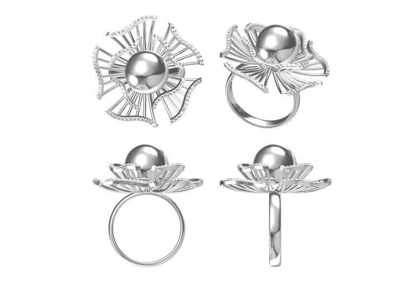 20 Pearl Rings 3D print model bulk collection 3D print model_14