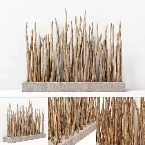 Sang decor fundament