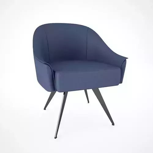 Armchair B lounge chair