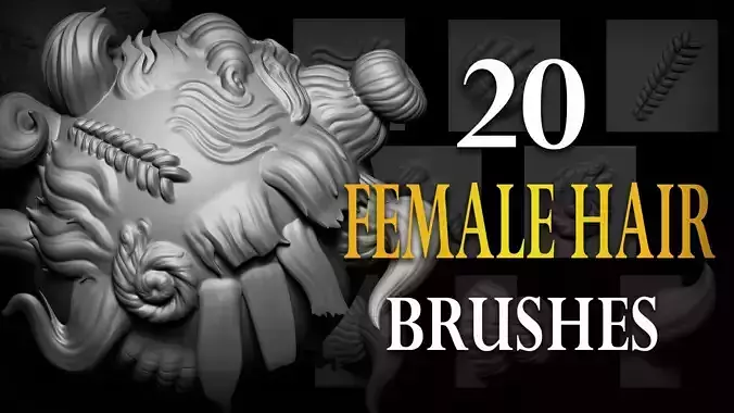 Zbrush - Female Hair VDM Brush 3D model