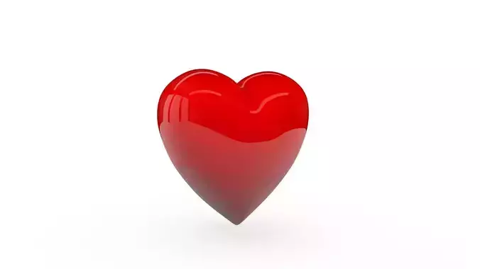 Heart 3D Model