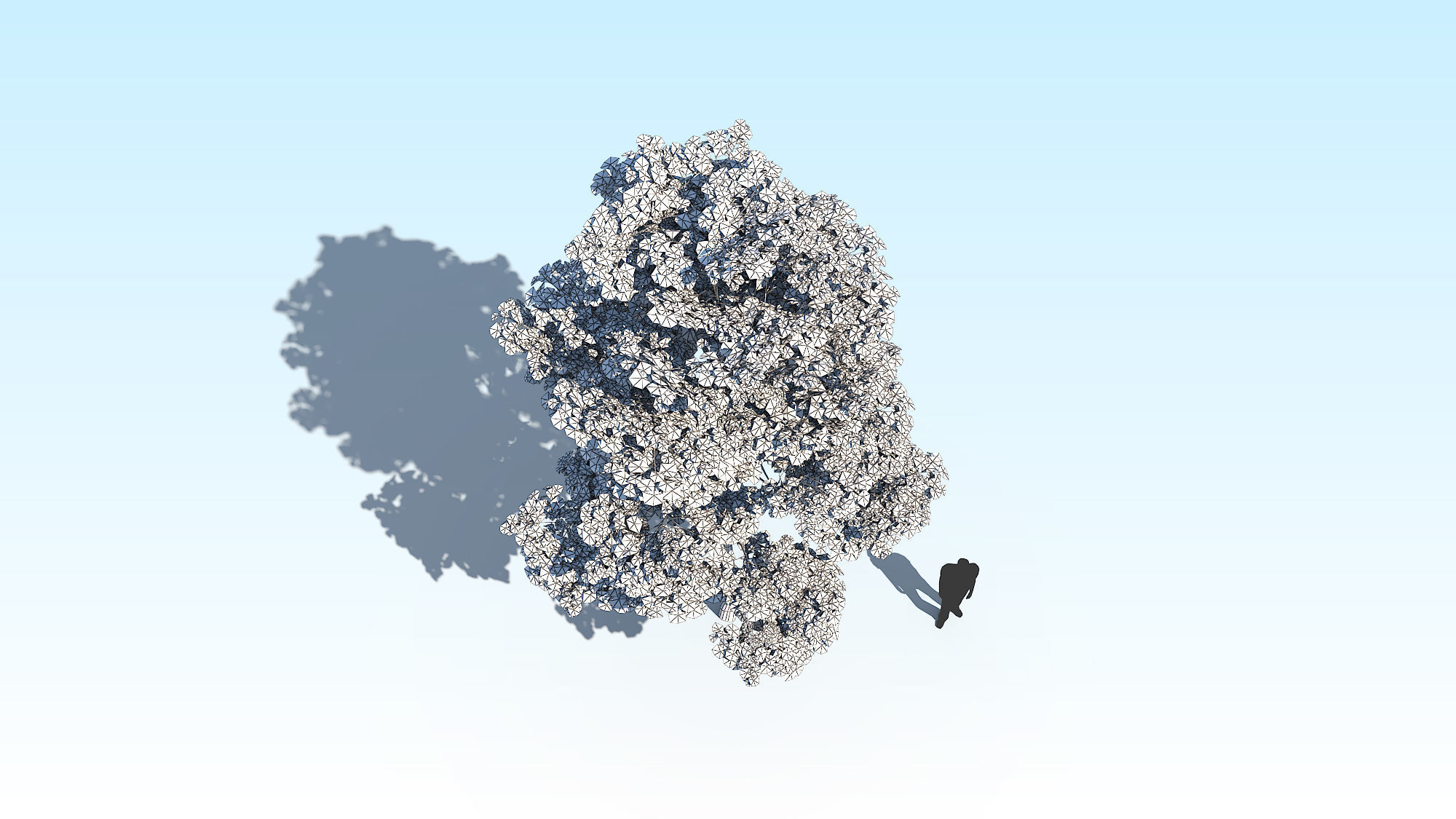 Maple Acer Tree 10 ArchViz 3D model_20