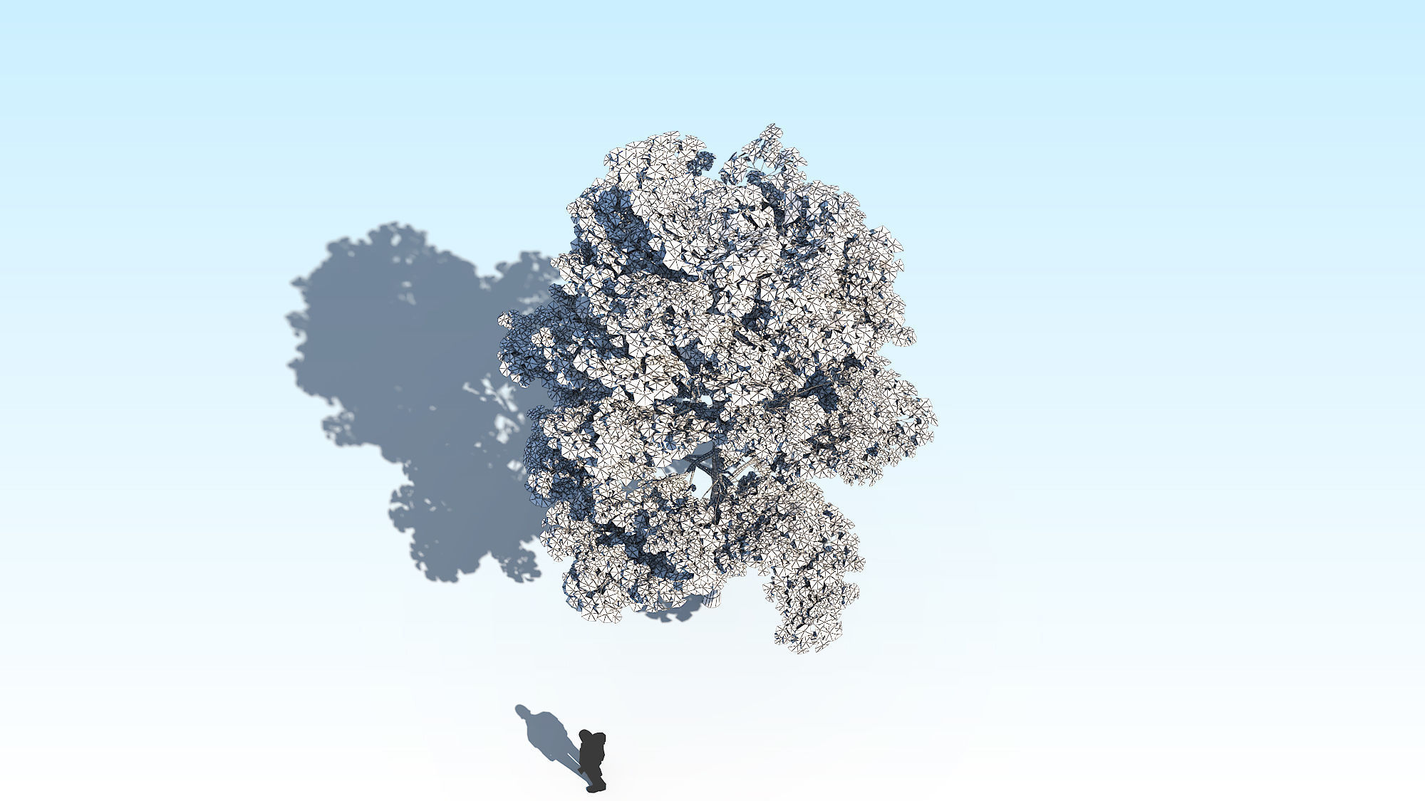 Maple Acer Tree 10 ArchViz 3D model_22