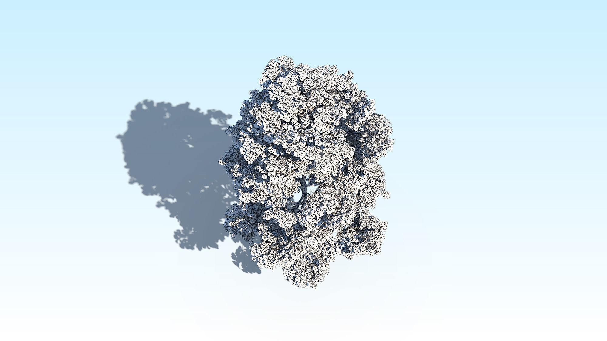 Maple Acer Tree 10 ArchViz 3D model_24