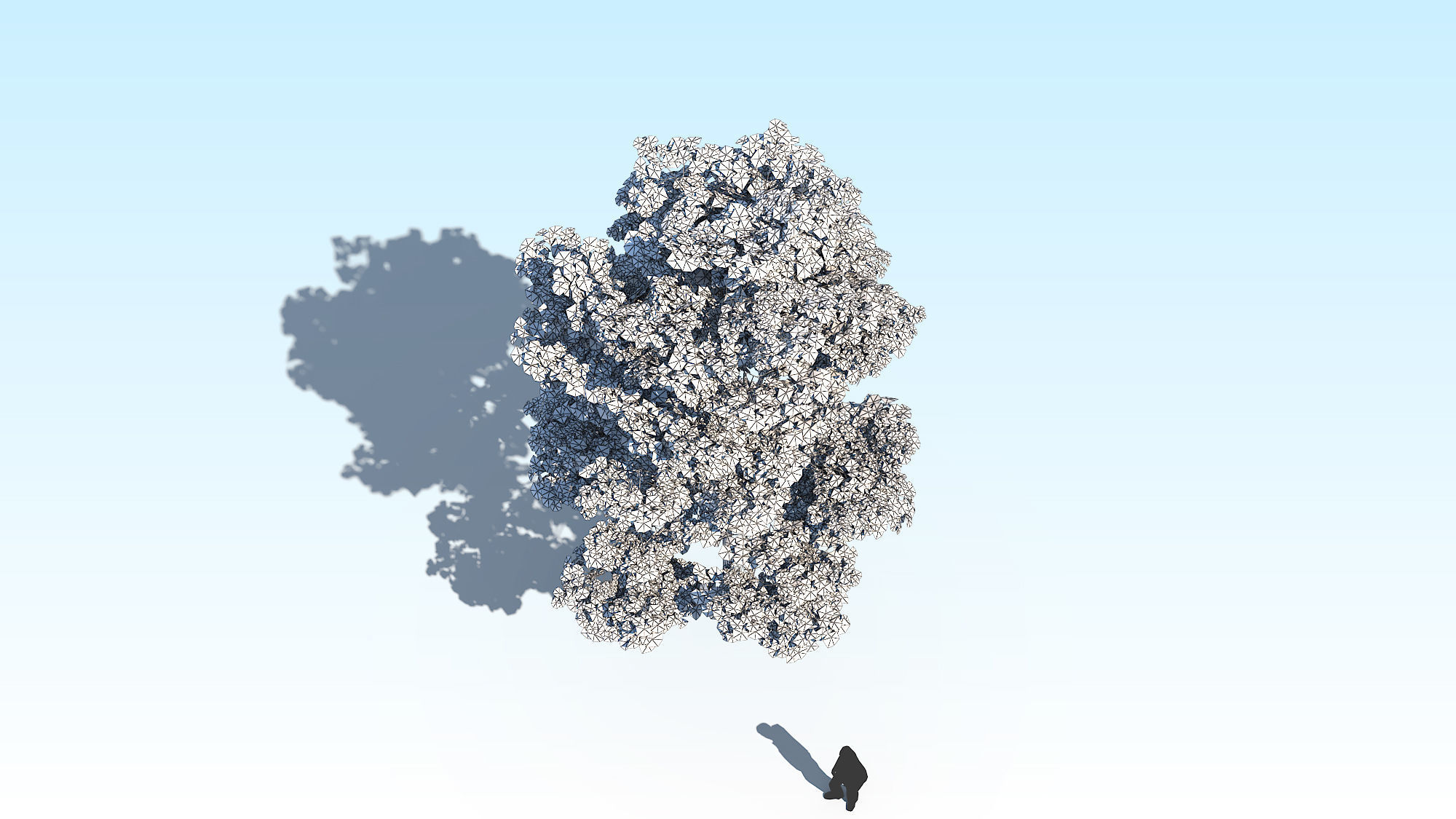 Maple Acer Tree 10 ArchViz 3D model_21