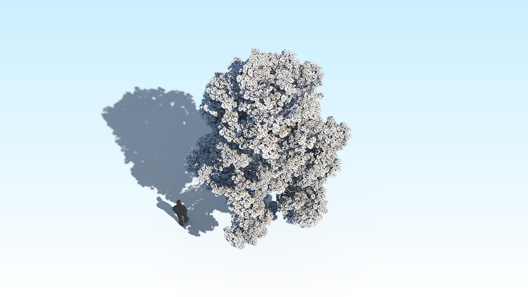 Maple Acer Tree 10 ArchViz 3D model_23