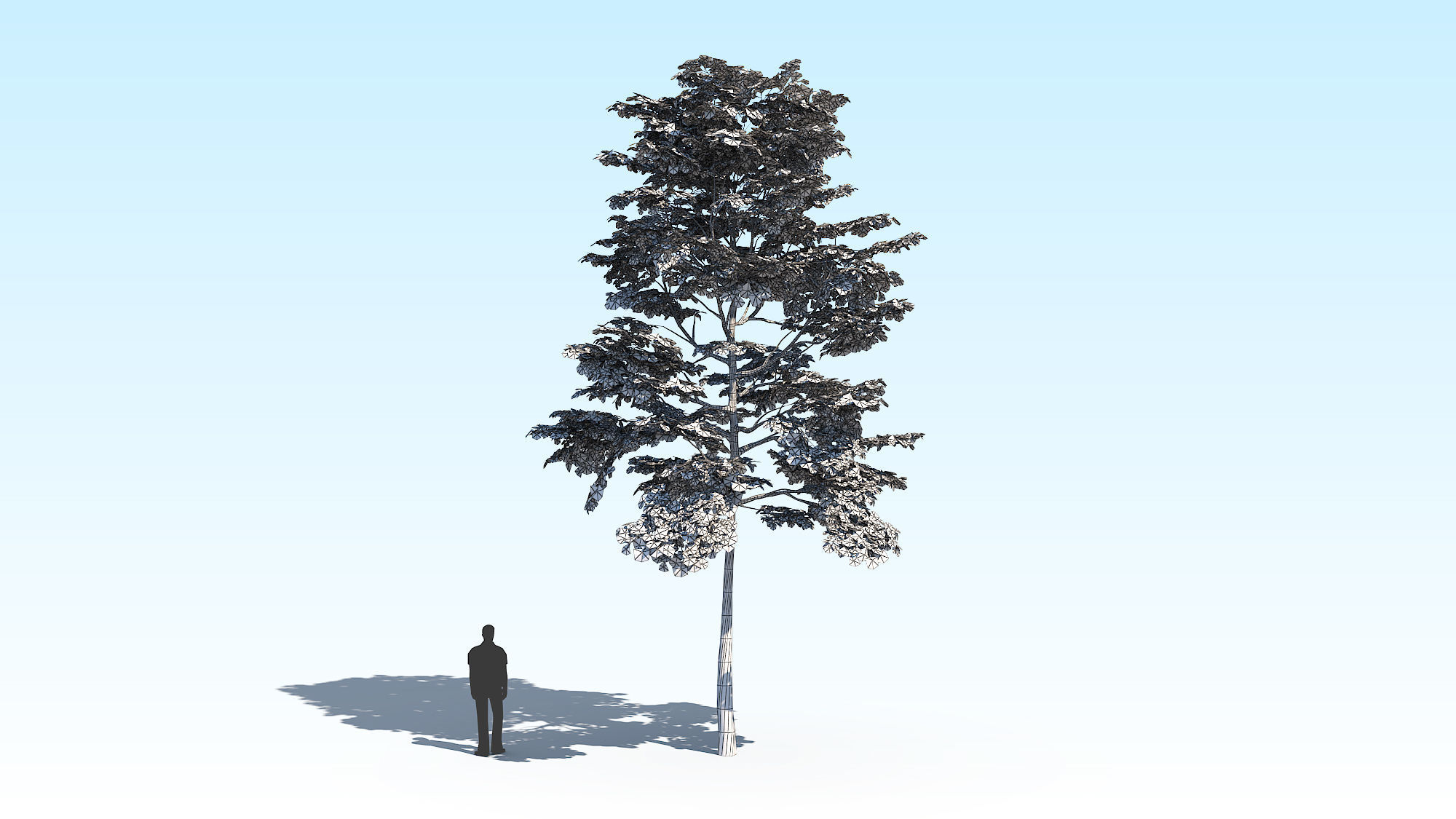 Maple Acer Tree 10 ArchViz 3D model_17